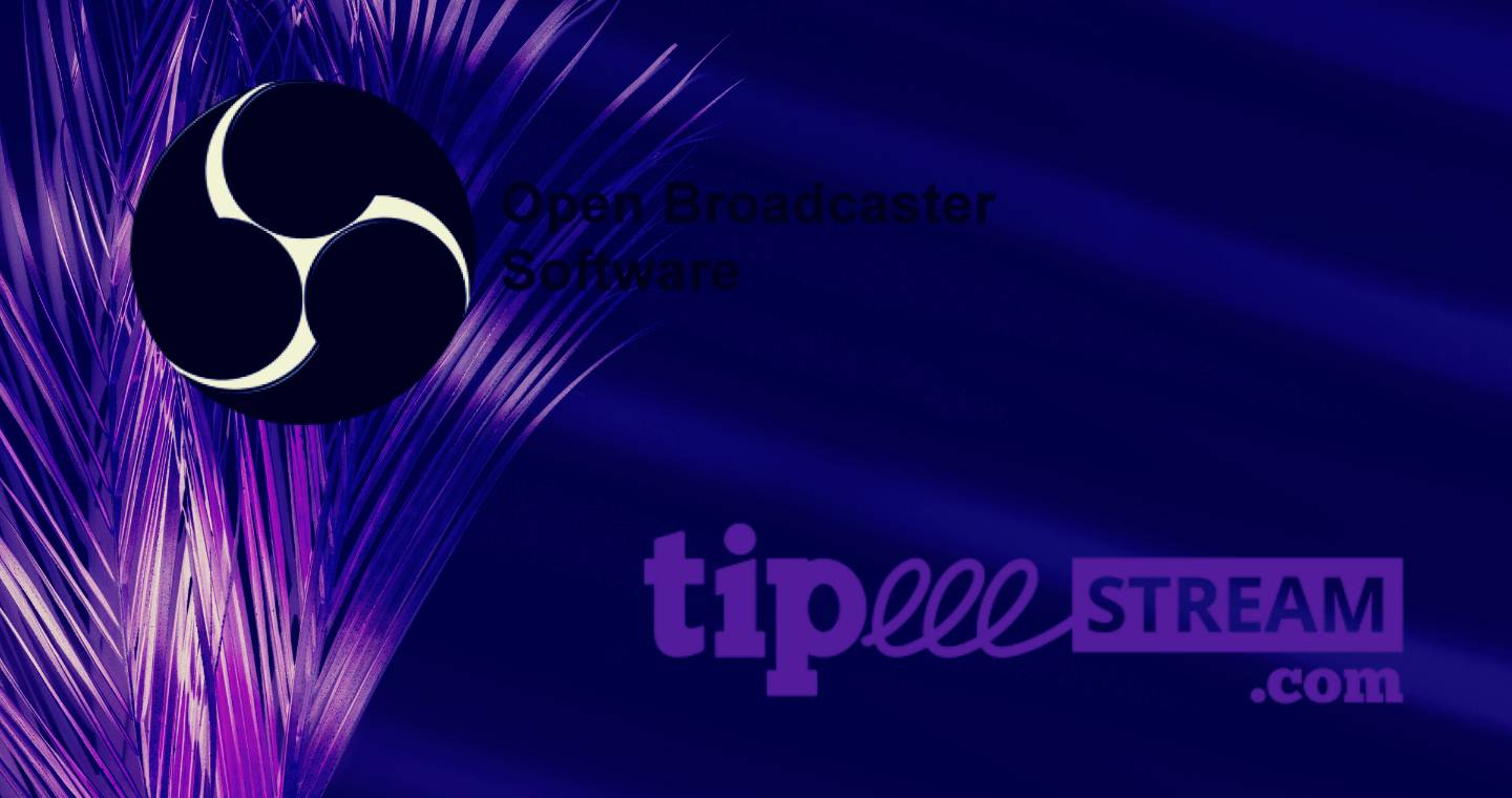 TipeeeStream-in-OBS-einfügen-